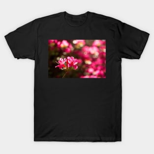 Pink Azalea Flowers T-Shirt